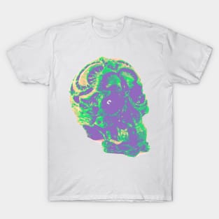 Emerald Shadows T-Shirt